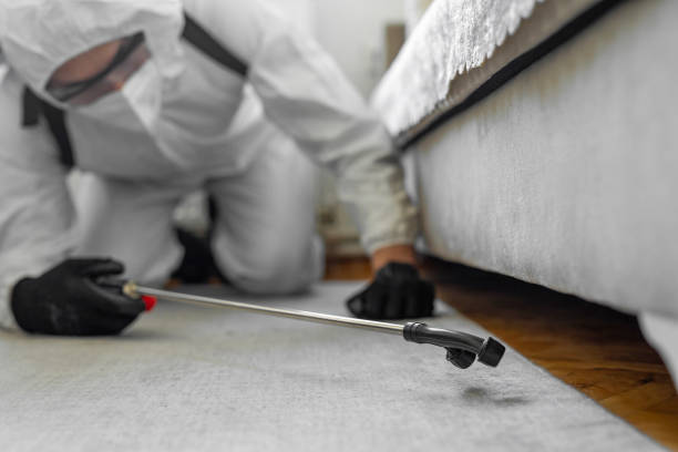 Professional Cockroach Control technician working in Seneca Knolls, NY